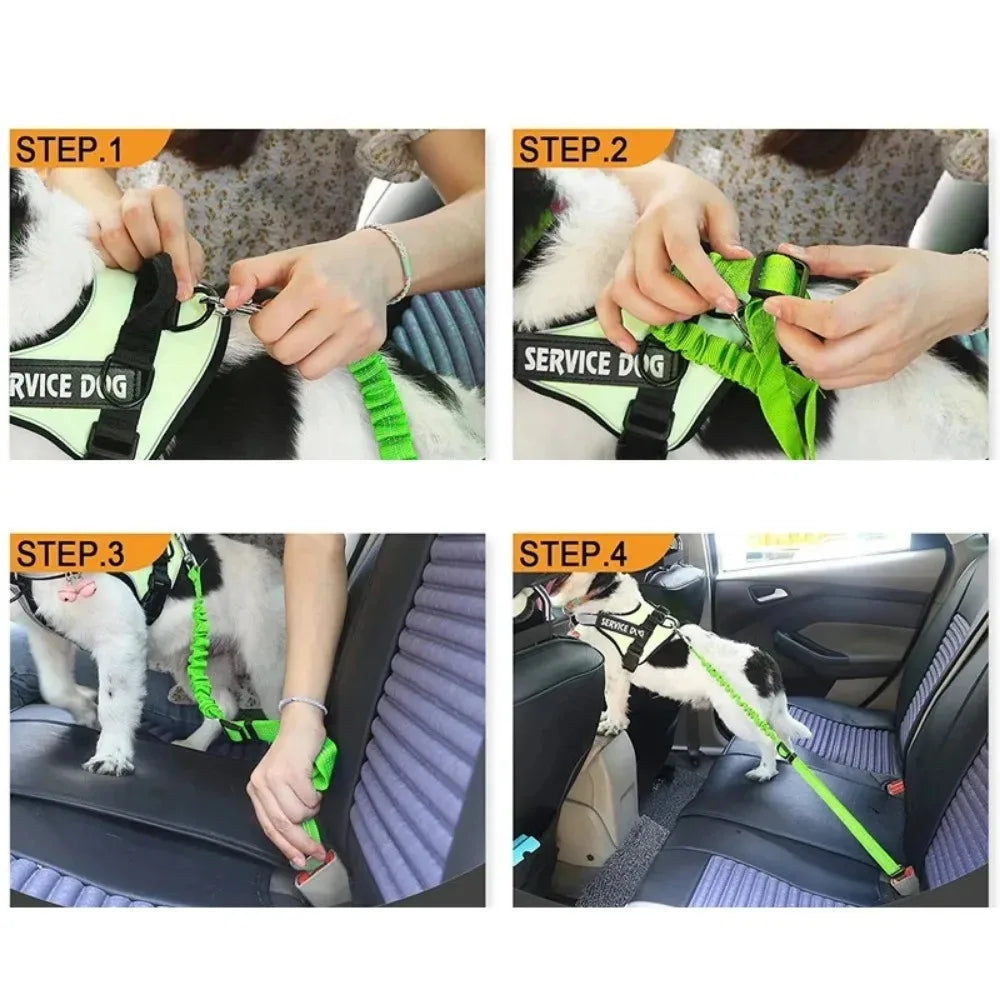 Car Safety Harness