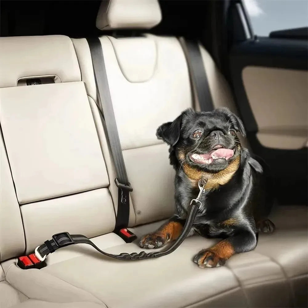 Car Safety Harness